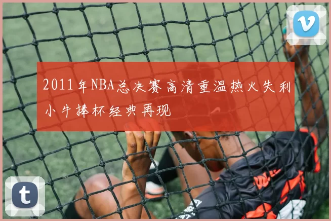 2011年NBA总决赛高清重温热火失利小牛捧杯经典再现